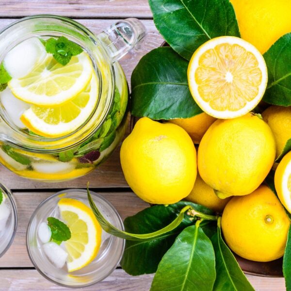Limone di Rocca Imperiale - Il LImone Che Si Mangia