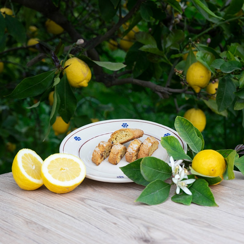 Fellarusce al LIMONE