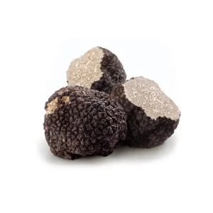 tartufo-nero-pregiato-fresco-tuber-melanosporum-vittadini-1