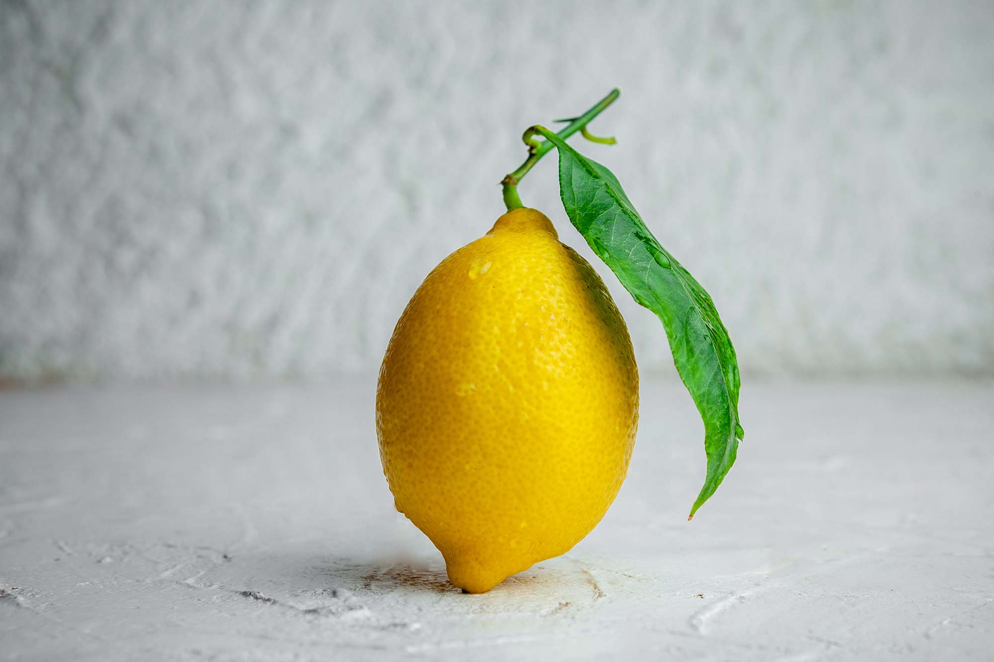 Come si mangia il cedro scopriamolo insieme in questo breve articolo Come si mangia il cedro scopriamolo insieme in questo breve articolo