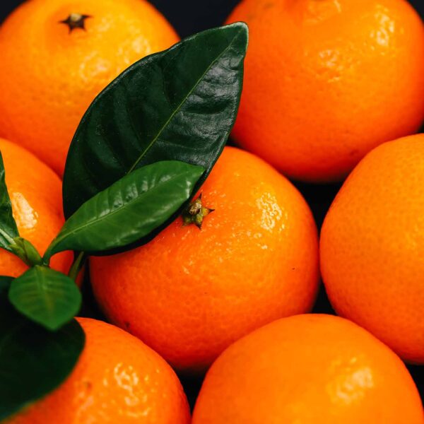 Clementine calabresi vendita online