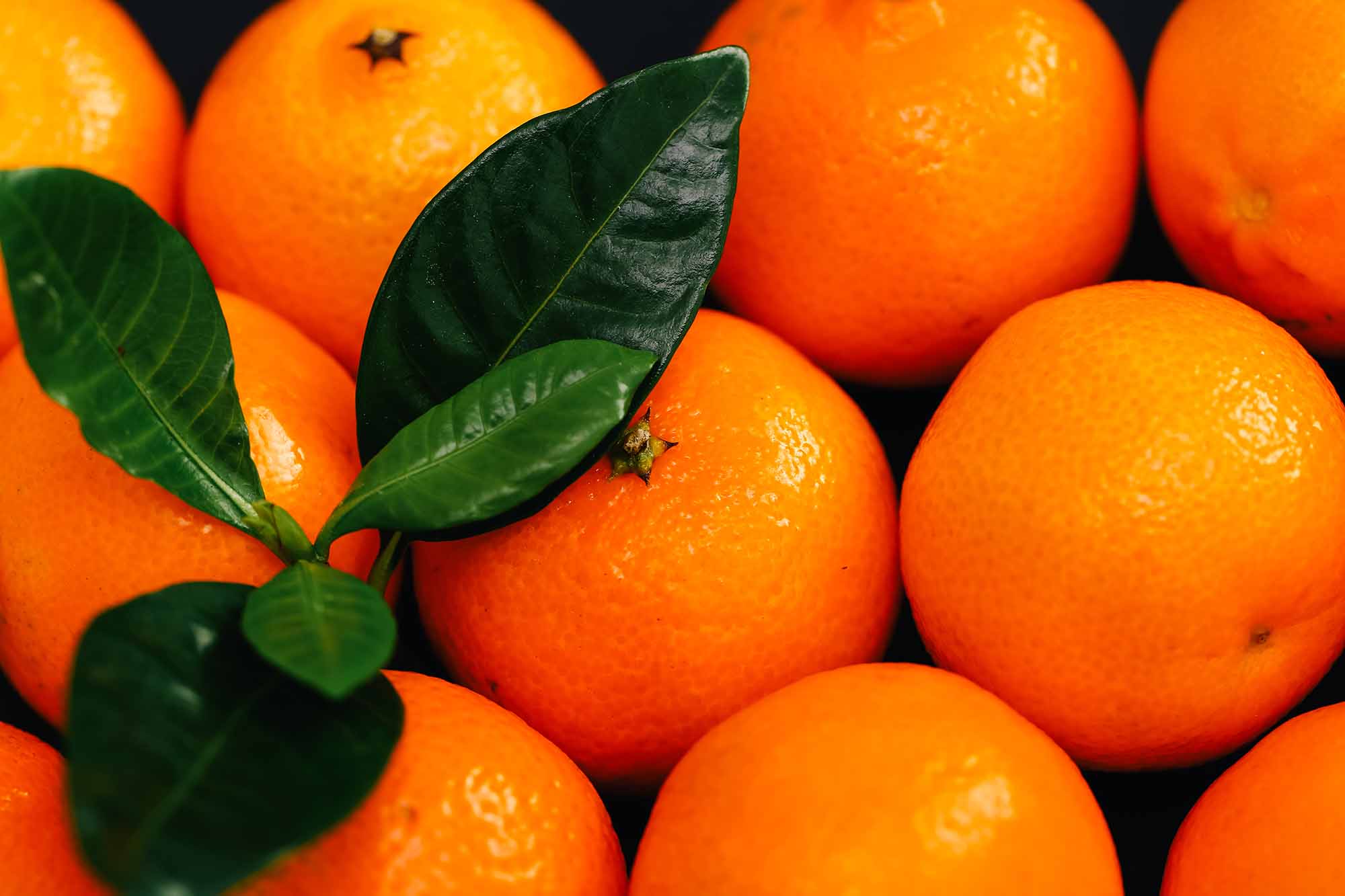 Clementine calabresi vendita online